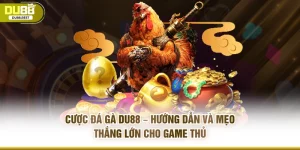 TIN TỨC