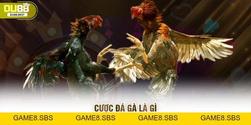 Cược đá gà Du88 – Hướng dẫn và mẹo thắng lớn cho game thủ