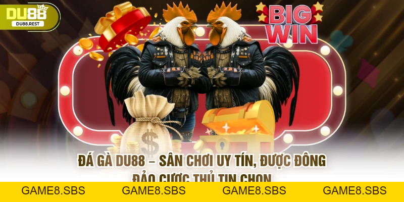 Đá gà DU88 – Trải nghiệm đá gà trực tuyến đỉnh cao 2026