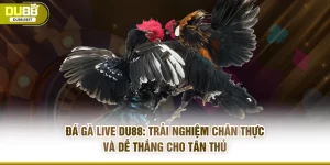 TIN TỨC