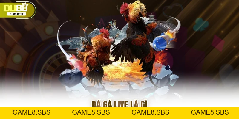 Đá gà live Du88 - Trải nghiệm chân thực và dễ thắng