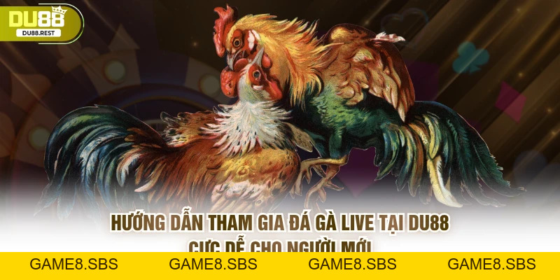 Đá gà live Du88 - Trải nghiệm chân thực và dễ thắng