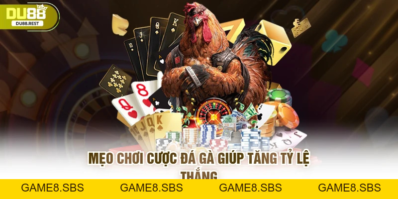 Cược đá gà Du88 – Hướng dẫn và mẹo thắng lớn cho game thủ