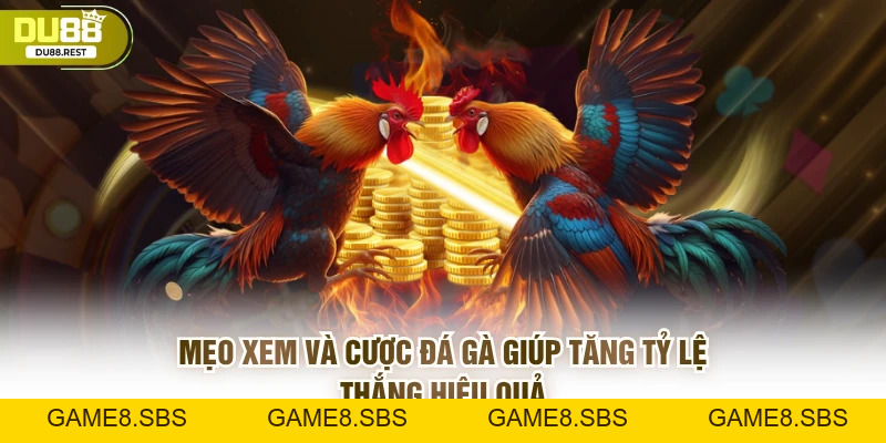 Đá gà DU88 – Trải nghiệm đá gà trực tuyến đỉnh cao 2026