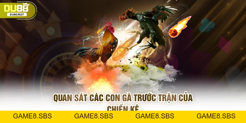 Cược đá gà Du88 – Hướng dẫn và mẹo thắng lớn cho game thủ